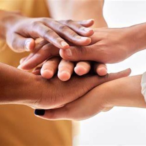 OIP - 2024-09-27T102025.898